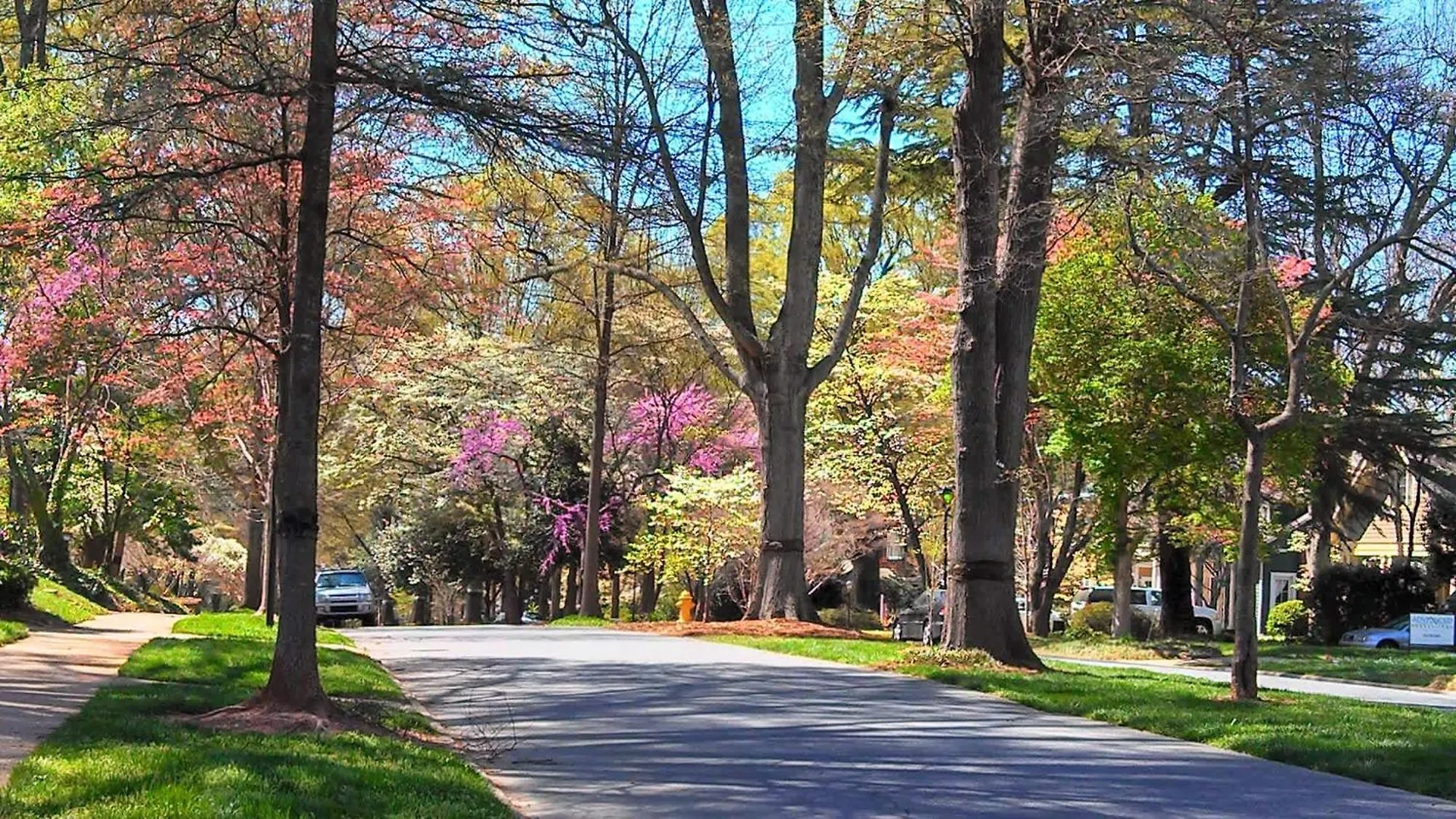 2 Bedroom In Myers Park With Comfortable Screened Porch Charlotte 0*,  United States